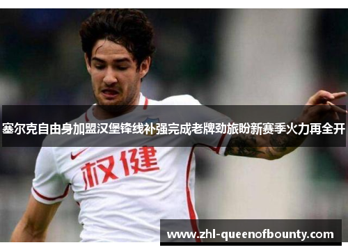 塞尔克自由身加盟汉堡锋线补强完成老牌劲旅盼新赛季火力再全开